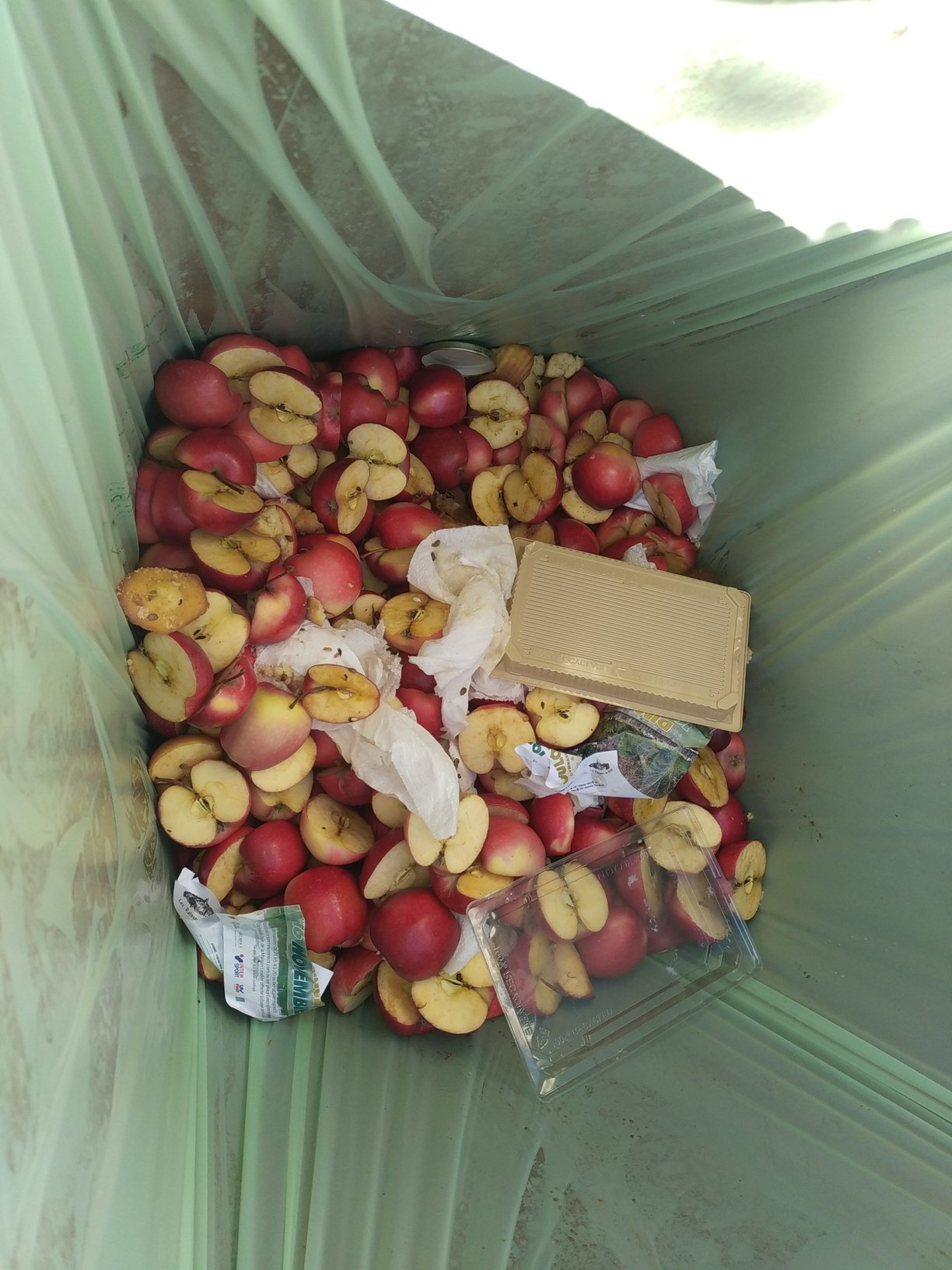 Exemple de biodéchets triés