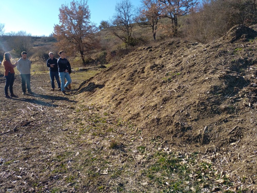 Structuration filière (etude11.jpg)