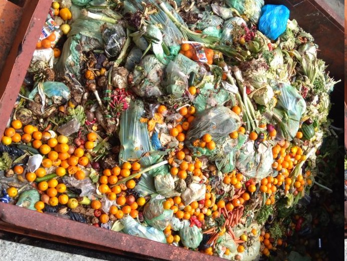 Service public biodéchets (etude5.jpg)