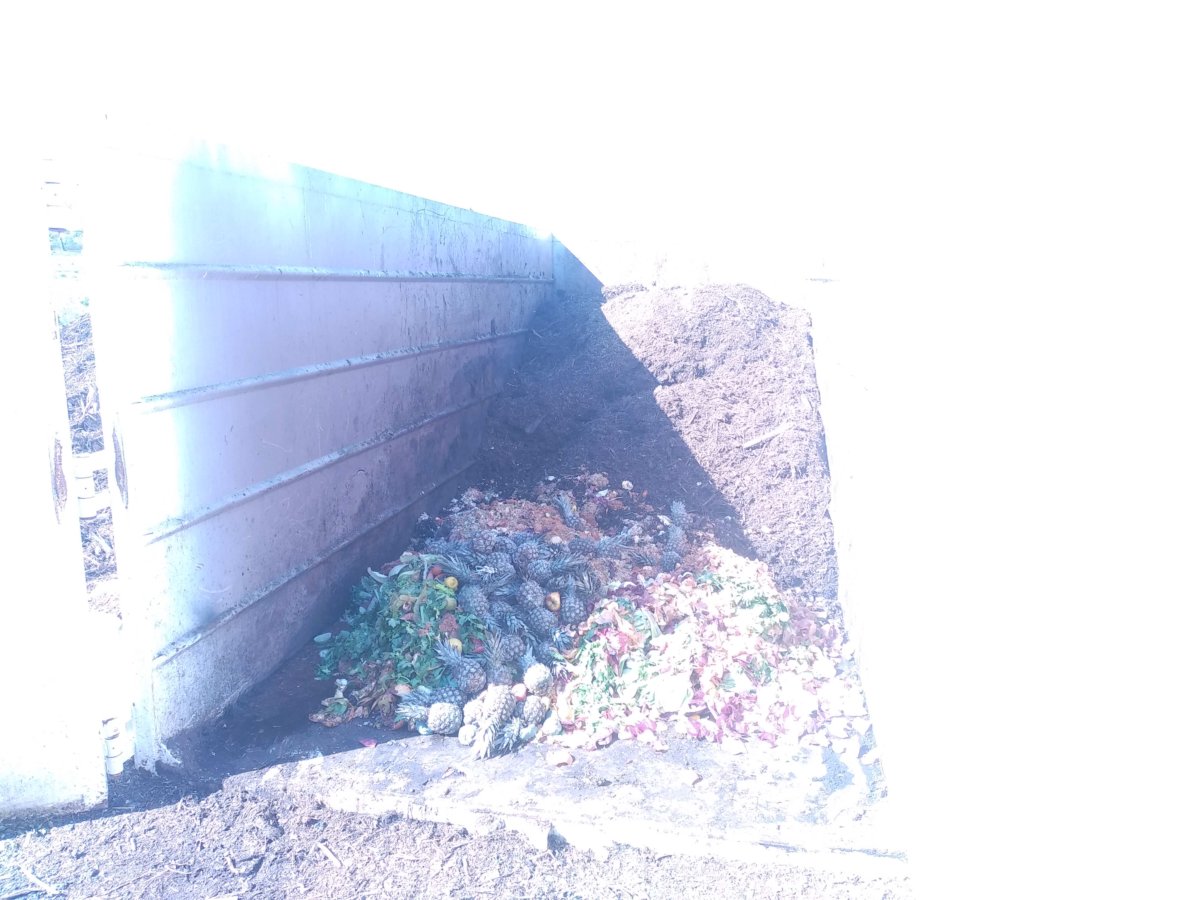 Compostage sur plateforme (service8.jpg)